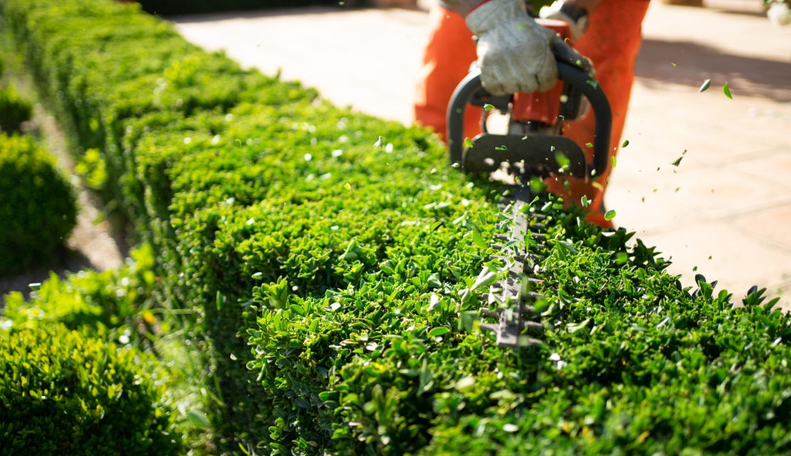 grass cutting melbourne